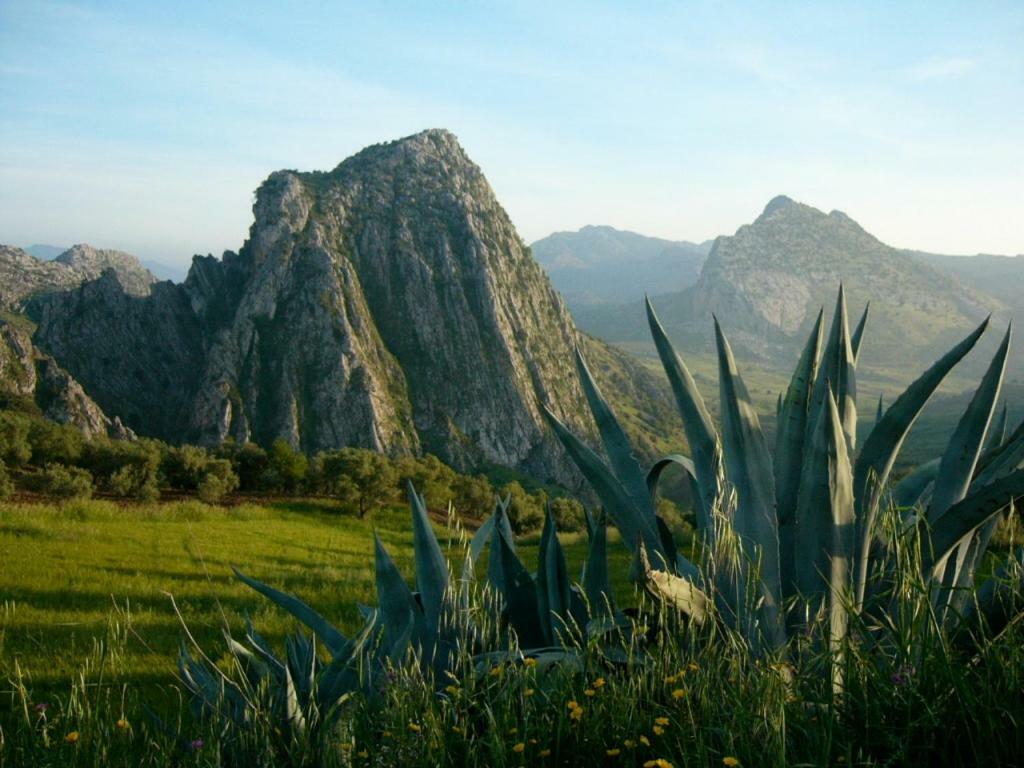 Puerta Verde Montejaque Dış mekan fotoğraf
