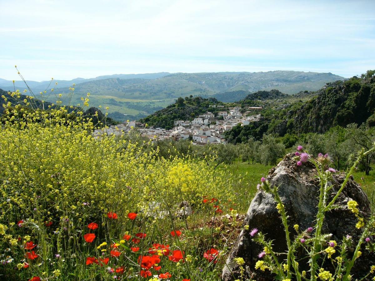 Puerta Verde Montejaque Dış mekan fotoğraf